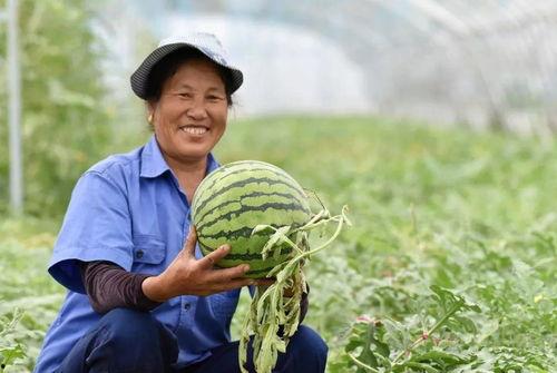 巢湖中学吃瓜,吃瓜群众眼中的校园生活剪影