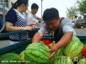 热情吃瓜热线,网络热点的幕后故事