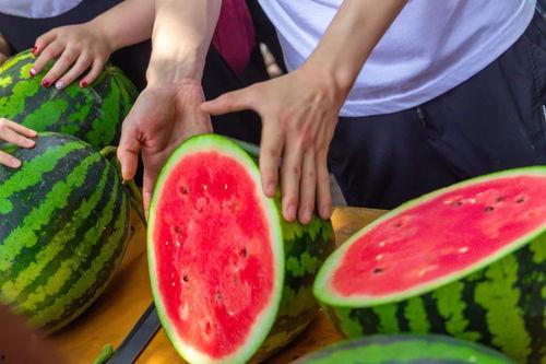 兰州高校吃瓜事件,揭秘校园网络舆论风波