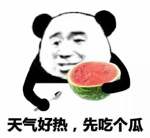 吃瓜哇咔咔