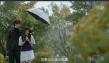 王以纶吃瓜