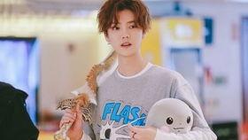 邓超安以轩吃瓜,娱乐圈新瓜爆不停！