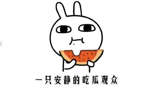 吃瓜吃吐了是什么意思