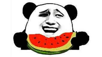吃瓜的幽默