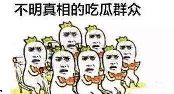 吃瓜群众一直在鸡你太美