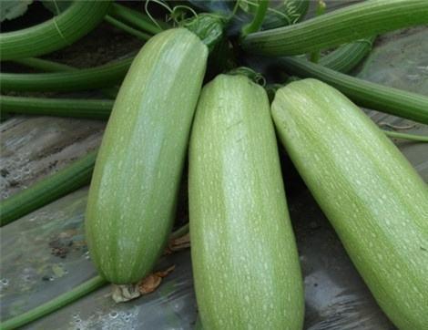 吃瓜情报处吃瓜,吃瓜情报处带你领略幕后风云