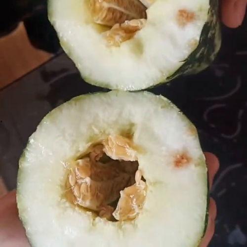 吃朋友的瓜好吗