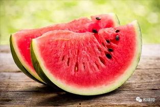 吃瓜糖分多吗,甜蜜背后的健康考量