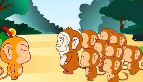 幸福的吃瓜小猫故事,一场味蕾与心灵的盛宴