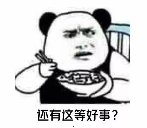 喂你吃麻瓜同学,你的魔法之旅即将开启