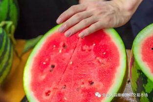 武昌大学吃瓜,吃瓜群众揭秘校园热点事件