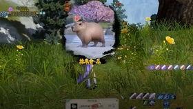 少林吃瓜奇遇,吃瓜群众的神秘探险之旅