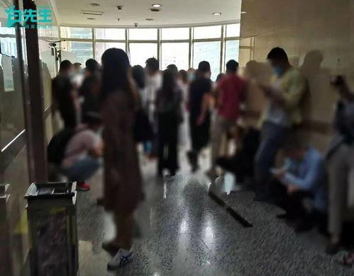 吃瓜租客后续,揭秘都市租房生活的酸甜苦辣