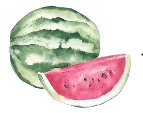 吃瓜传递者,网络舆论背后的推手与真相