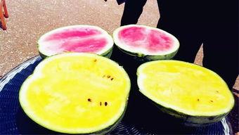 林州吃瓜爆料,揭秘当地热点事件背后的真相