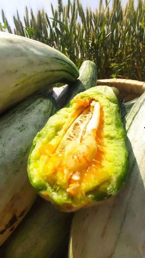 只是想静静吃瓜,揭秘娱乐圈幕后故事