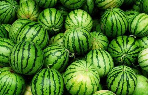 藁城四公吃瓜,揭秘背后真相与网络舆论风暴