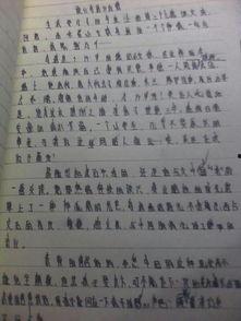 吃瓜小达人作文