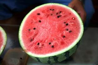 平凉华亭吃瓜,瓜果飘香，品味夏日田园风情